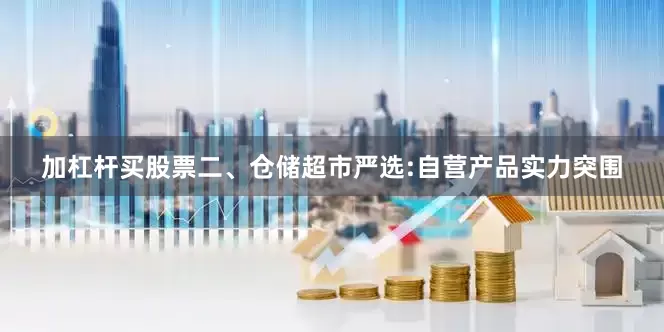 加杠杆买股票二、仓储超市严选:自营产品实力突围