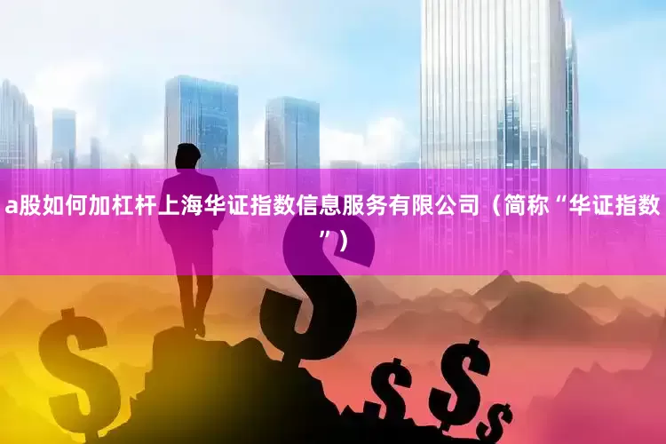 a股如何加杠杆上海华证指数信息服务有限公司（简称“华证指数”）