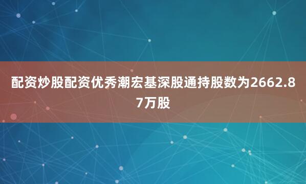 配资炒股配资优秀潮宏基深股通持股数为2662.87万股