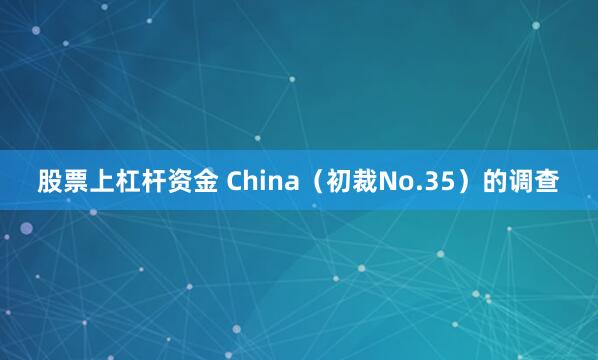 股票上杠杆资金 China（初裁No.35）的调查