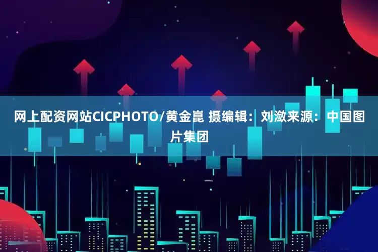 网上配资网站CICPHOTO/黄金崑 摄　　编辑：刘潋　　来源：中国图片集团