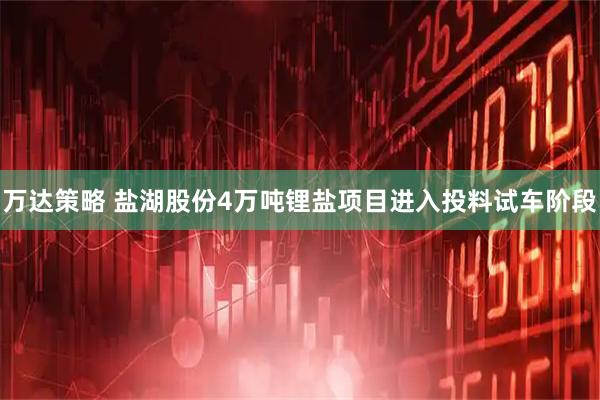万达策略 盐湖股份4万吨锂盐项目进入投料试车阶段