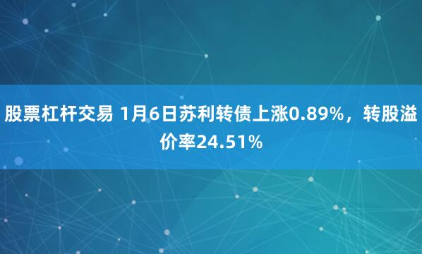 股票杠杆交易 1月6日苏利转债上涨0.89%，转股溢价率24.51%